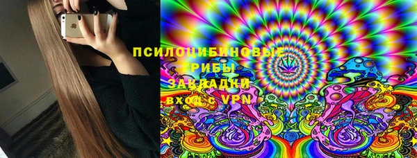 индика Аркадак