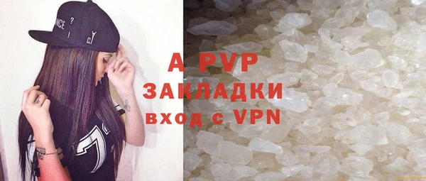 сатива Арсеньев