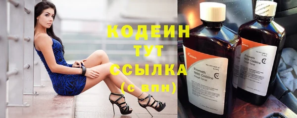 сатива Арсеньев