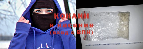 индика Аркадак