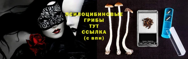 таблы Армянск