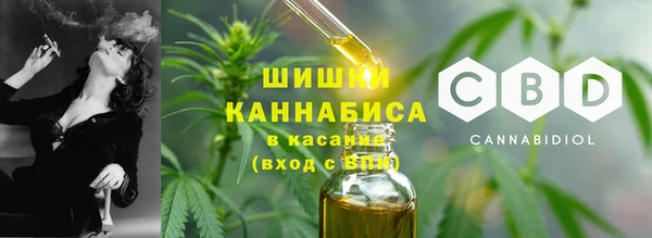 сатива Арсеньев