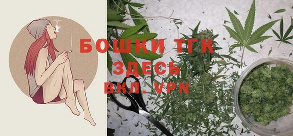 индика Аркадак