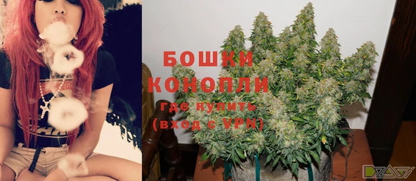 индика Аркадак