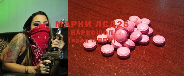индика Аркадак