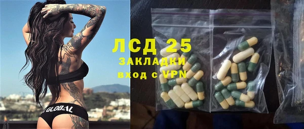 индика Аркадак