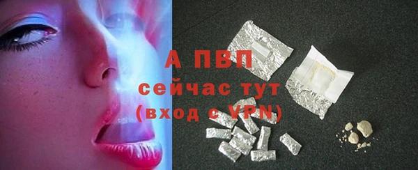 индика Аркадак
