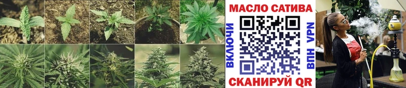 ссылка на мегу маркетплейс  Рудня  ТГК концентрат 